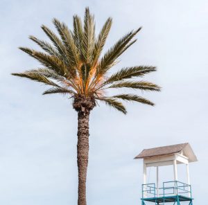 Cheap car rental in Larnaca