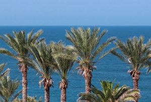 Cheap car rental in Ayia Napa