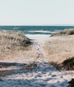 Cheap car rental in Frederikshavn