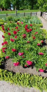 Cheap car rental in Landskrona