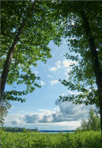 Cheap Car Rental & Van Rental in Karlskoga