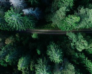 Cheap car rental in Gävle