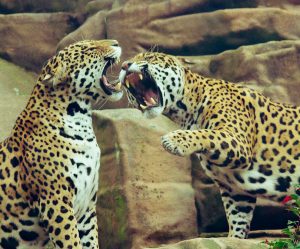 Cheap car rental in Eskilstuna