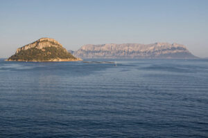 Cheap Car Rental & Van Rental in Olbia