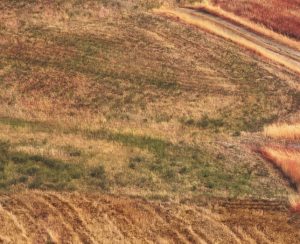 Cheap car rental in Brindisi