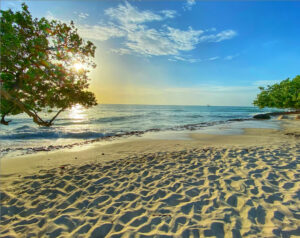 Cheap Car Rental in Aruba