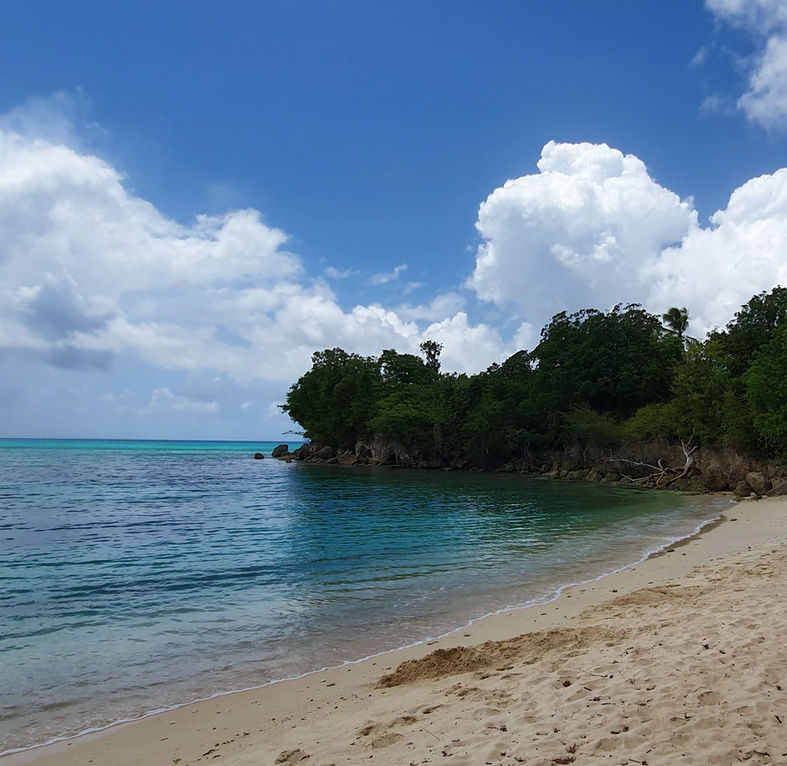 Car Rental in Guadeloupe Search for Rental Cars on