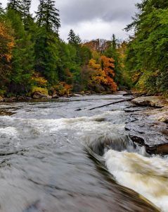 Car Rental in Maryland