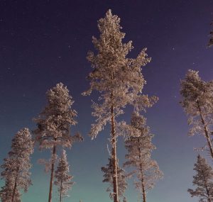 Car Rental at Gällivare Airport