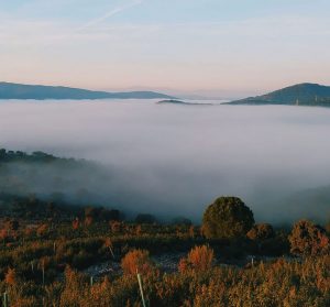 Car Rental at Badajoz Airport