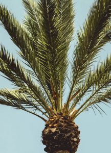 Cheap car rental in Lamezia Terme