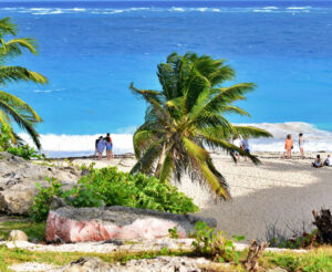 Visit these 5 Best beaches in Barbados to have a amazing traveling experience
